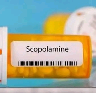স্কোপোলামিন দাম কত?