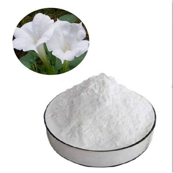 স্কোপোলামিন পাউডার